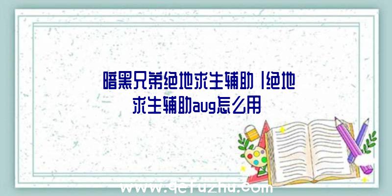 「暗黑兄弟绝地求生辅助」|绝地求生辅助aug怎么用